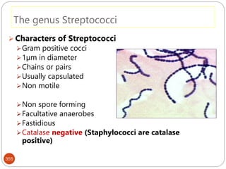 The genus Streptococci
355
 Characters of Streptococci
Gram positive cocci
1µm in diameter
Chains or pairs
Usually capsulated
Non motile
Non spore forming
Facultative anaerobes
Fastidious
Catalase negative (Staphylococci are catalase
positive)
 