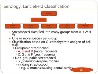 Serology: Lanciefield Classification
 Streptococci classified into many groups from A-K & H-
W
 One or more species per group
 Classification based on C- carbohydrate antigen of cell
wall
 Groupable streptococci
 A, B and D (more frequent)
 C, G and F (Less frequent)
 Non-groupable streptococci
 S. pneumoniae (pneumonia)
 viridans streptococci
 e.g. S. mutans;causing dental carries
357
Streptococci
Group A
S. pyogenes
Group B
S. agalactiae
Group C
S. equisimitis
Group D
Enterococcus
Lanciefield classification
Other groups
(E-U)
 