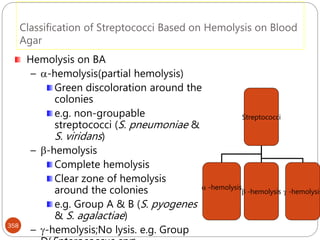 Classification of Streptococci Based on Hemolysis on Blood
Agar
358
Hemolysis on BA
– -hemolysis(partial hemolysis)
Green discoloration around the
colonies
e.g. non-groupable
streptococci (S. pneumoniae &
S. viridans)
– -hemolysis
Complete hemolysis
Clear zone of hemolysis
around the colonies
e.g. Group A & B (S. pyogenes
& S. agalactiae)
– -hemolysis;No lysis. e.g. Group
Streptococci
 -hemolysis
 -hemolysis  -hemolysis
 