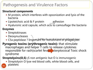 Pathogenesis and Virulence Factors
361
Structural components
 M protein, which interferes with opsonization and lysis of the
bacteria
 Lipoteichoic acid & F protein adhesion
 Hyaluronic acid capsule, which acts to camouflage the bacteria
Enzymes
 Streptokinases
 Deoxynucleases
 C5a peptidase ? Important for recruitment of phagocytes
Pyrogenic toxins (erythrogenic toxin): that stimulate
macrophages and helper T cells to release cytokines
responsible for rash(scarlet fever &sterptococal Toxic shock
syndrome
Streptolysins(O,S) ;S non antigenic but O is immunogenic
 Streptolysin O lyse red blood cells, white blood cells, and
platelets
facilitate the spread of streptococci through tissues
 