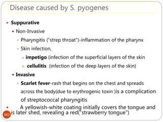 Disease caused by S. pyogenes
362
 Suppurative
 Non-Invasive
 Pharyngitis (“strep throat”)-inflammation of the pharynx
 Skin infection,
 impetigo (infection of the superficial layers of the skin
 cellulitis (infection of the deep layers of the skin)
 Invasive
 Scarlet fever-rash that begins on the chest and spreads
across the body(due to erythrogenic toxin )is a complication
of streptococcal pharyngitis
 A yellowish-white coating initially covers the tongue and
is later shed, revealing a red(“strawberry tongue”)
 