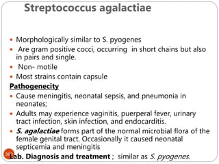 Streptococcus agalactiae
369
 Morphologically similar to S. pyogenes
 Are gram positive cocci, occurring in short chains but also
in pairs and single.
 Non- motile
 Most strains contain capsule
Pathogenecity
 Cause meningitis, neonatal sepsis, and pneumonia in
neonates;
 Adults may experience vaginitis, puerperal fever, urinary
tract infection, skin infection, and endocarditis.
 S. agalactiae forms part of the normal microbial flora of the
female genital tract. Occasionally it caused neonatal
septicemia and meningitis
Lab. Diagnosis and treatment ; similar as S. pyogenes.
 