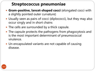 370
 Gram-positive, lancet-shaped cocci (elongated cocci with
a slightly pointed outer curvature)
 Usually seen as pairs of cocci (diplococci), but they may also
occur singly and in short chains
 The cells are surrounded by a thick capsule.
 The capsule protects the pathogens from phagocytosis and
is the most important determinant of pneumococcal
virulence.
 Un encapsulated variants are not capable of causing
disease.
Streptococcus pneumoniae
 