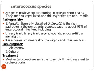 Enterococcus species
376
 Are gram positive cocci occurring in pairs or short chains
.They are non-capsulated and the majorities are non- motile.
Pathogenicity
 E. faecalis (formerly classified S. faecalis) is the main
pathogen in the genus enterococcus causing about 95% of
enterococcal infections including ;
 Urinary tract, biliary tract, ulcers, wounds, endocarditic or
meningitis.
 It is a normal commensal of the vagina and intestinal tract
Lab. diagnosis
1.Microscopy
2.Culture
Treatment
 Most enteroccocci are sensitive to ampicillin and resistant to
cephalosporin
 