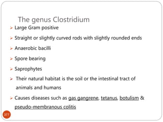 The genus Clostridium
377
 Large Gram positive
 Straight or slightly curved rods with slightly rounded ends
 Anaerobic bacilli
 Spore bearing
 Saprophytes
 Their natural habitat is the soil or the intestinal tract of
animals and humans
 Causes diseases such as gas gangrene, tetanus, botulism &
pseudo-membranous colitis
 