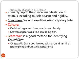 Laboratory Diagnosis of Tetanus
385
 Primarily upon the clinical manifestation of
tetanus including muscle spasm and rigidity.
 Specimen: Wound exudates using capillary tube
 Culture:
 On blood agar and incubated anaerobically
 Growth appears as a fine spreading film.
 Gram stain is a good method for identifying
Clostridium
 Cl. tetani is Gram positive rod with a round terminal
spore giving a drumstick appearance
 
