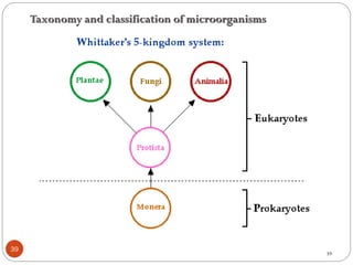 39
39
Taxonomy and classification of microorganisms
 