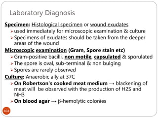 Laboratory Diagnosis
404
Specimen: Histological specimen or wound exudates
used immediately for microscopic examination & culture
Specimens of exudates should be taken from the deeper
areas of the wound
Microscopic examination (Gram, Spore stain etc)
Gram-positive bacilli, non motile, capsulated & sporulated
The spore is oval, sub-terminal & non bulging
Spores are rarely observed
Culture: Anaerobic ally at 37C
On Robertson's cooked meat medium → blackening of
meat will be observed with the production of H2S and
NH3
On blood agar → β-hemolytic colonies
 