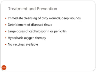 Treatment and Prevention
405
 Immediate cleansing of dirty wounds, deep wounds,
 Debridement of diseased tissue
 Large doses of cephalosporin or penicillin
 Hyperbaric oxygen therapy
 No vaccines available
 
