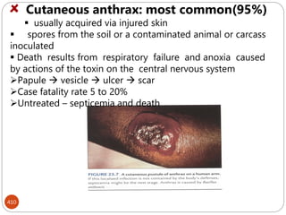 410
Cutaneous anthrax: most common(95%)
 usually acquired via injured skin
 spores from the soil or a contaminated animal or carcass
inoculated
 Death results from respiratory failure and anoxia caused
by actions of the toxin on the central nervous system
Papule  vesicle  ulcer  scar
Case fatality rate 5 to 20%
Untreated – septicemia and death
 