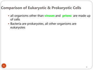 41
Comparison of Eukaryotic & Prokaryotic Cells
 all organisms other than viruses and prions are made up
of cells
 Bacteria are prokaryotes, all other organisms are
eukaryotes
41
 