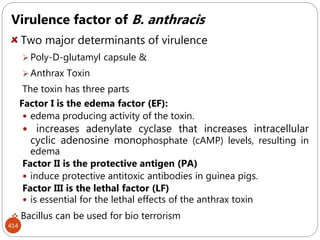414
Virulence factor of B. anthracis
Two major determinants of virulence
 Poly-D-glutamyl capsule &
 Anthrax Toxin
The toxin has three parts
Factor I is the edema factor (EF):
 edema producing activity of the toxin.
 increases adenylate cyclase that increases intracellular
cyclic adenosine monophosphate (cAMP) levels, resulting in
edema
Factor II is the protective antigen (PA)
 induce protective antitoxic antibodies in guinea pigs.
Factor III is the lethal factor (LF)
 is essential for the lethal effects of the anthrax toxin
 Bacillus can be used for bio terrorism
 