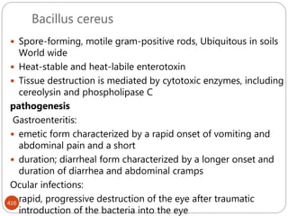 Bacillus cereus
416
 Spore-forming, motile gram-positive rods, Ubiquitous in soils
World wide
 Heat-stable and heat-labile enterotoxin
 Tissue destruction is mediated by cytotoxic enzymes, including
cereolysin and phospholipase C
pathogenesis
Gastroenteritis:
 emetic form characterized by a rapid onset of vomiting and
abdominal pain and a short
 duration; diarrheal form characterized by a longer onset and
duration of diarrhea and abdominal cramps
Ocular infections:
 rapid, progressive destruction of the eye after traumatic
introduction of the bacteria into the eye
 