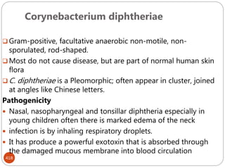 Corynebacterium diphtheriae
418
 Gram-positive, facultative anaerobic non-motile, non-
sporulated, rod-shaped.
 Most do not cause disease, but are part of normal human skin
flora
 C. diphtheriae is a Pleomorphic; often appear in cluster, joined
at angles like Chinese letters.
Pathogenicity
 Nasal, nasopharyngeal and tonsillar diphtheria especially in
young children often there is marked edema of the neck
 infection is by inhaling respiratory droplets.
 It has produce a powerful exotoxin that is absorbed through
the damaged mucous membrane into blood circulation
 