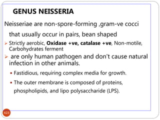 423
GENUS NEISSERIA
Neisseriae are non-spore-forming ,gram-ve cocci
that usually occur in pairs, bean shaped
 Strictly aerobic, Oxidase +ve, catalase +ve, Non-motile,
Carbohydrates ferment
 are only human pathogen and don't cause natural
infection in other animals.
 Fastidious, requiring complex media for growth.
 The outer membrane is composed of proteins,
phospholipids, and lipo polysaccharide (LPS).
 