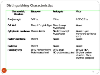 43
Characteris
tic/
S
tructure
Eukaryote Prokaryote Virus
S
ize(average) 5- 1
- 0.025-
Cell Wall Present Fungi & Algae Present except
Mycoplasma
Absent
Cytoplas
micmembrane Possesssterols No sterolsexcept
Mycoplasma
Absent. Lipid
membranesurrounds
some
Nuclear membrane Present Absent Absent
Nucleolus Present Absent Absent
Hereditaryinfo. DNA: >1chromosome
Proteinsassociated
DNA: single
NO proteinsassociated
DNA or RNA
S
ingleor double
stranded. S
ome
enzymesassociated
Distinguishing Characteristics
43
 