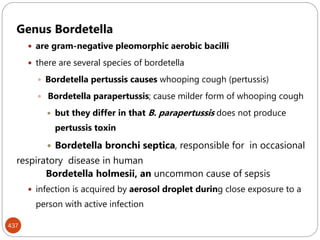 437
Genus Bordetella
 are gram-negative pleomorphic aerobic bacilli
 there are several species of bordetella
 Bordetella pertussis causes whooping cough (pertussis)
 Bordetella parapertussis; cause milder form of whooping cough
 but they differ in that B. parapertussis does not produce
pertussis toxin
 Bordetella bronchi septica, responsible for in occasional
respiratory disease in human
Bordetella holmesii, an uncommon cause of sepsis
 infection is acquired by aerosol droplet during close exposure to a
person with active infection
 