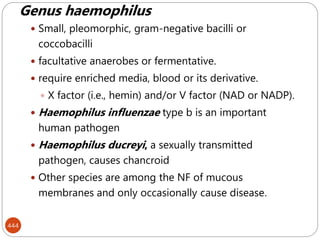 444
Genus haemophilus
 Small, pleomorphic, gram-negative bacilli or
coccobacilli
 facultative anaerobes or fermentative.
 require enriched media, blood or its derivative.
 X factor (i.e., hemin) and/or V factor (NAD or NADP).
 Haemophilus influenzae type b is an important
human pathogen
 Haemophilus ducreyi, a sexually transmitted
pathogen, causes chancroid
 Other species are among the NF of mucous
membranes and only occasionally cause disease.
 