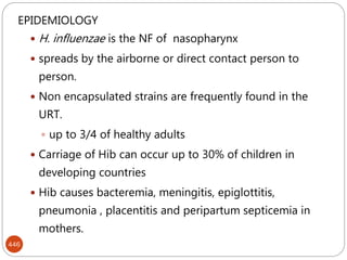 446
EPIDEMIOLOGY
 H. influenzae is the NF of nasopharynx
 spreads by the airborne or direct contact person to
person.
 Non encapsulated strains are frequently found in the
URT.
 up to 3/4 of healthy adults
 Carriage of Hib can occur up to 30% of children in
developing countries
 Hib causes bacteremia, meningitis, epiglottitis,
pneumonia , placentitis and peripartum septicemia in
mothers.
 