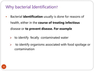 Why bacterial Identification?
45
 Bacterial identification usually is done for reasons of
health, either in the course of treating infectious
disease or to prevent disease. For example
 to identify fecally contaminated water
 to identify organisms associated with food spoilage or
contamination
 