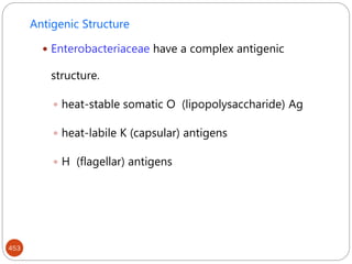 453
Antigenic Structure
 Enterobacteriaceae have a complex antigenic
structure.
 heat-stable somatic O (lipopolysaccharide) Ag
 heat-labile K (capsular) antigens
 H (flagellar) antigens
 