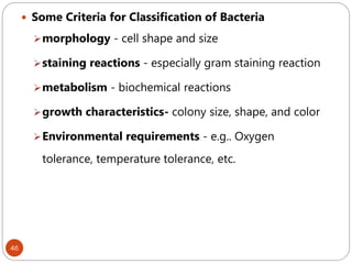 46
 Some Criteria for Classification of Bacteria
morphology - cell shape and size
staining reactions - especially gram staining reaction
metabolism - biochemical reactions
growth characteristics- colony size, shape, and color
Environmental requirements - e.g.. Oxygen
tolerance, temperature tolerance, etc.
 