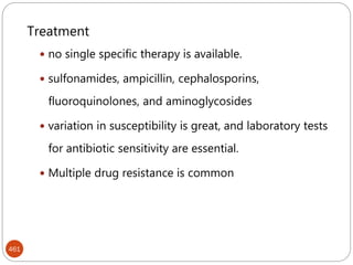 461
Treatment
 no single specific therapy is available.
 sulfonamides, ampicillin, cephalosporins,
fluoroquinolones, and aminoglycosides
 variation in susceptibility is great, and laboratory tests
for antibiotic sensitivity are essential.
 Multiple drug resistance is common
 