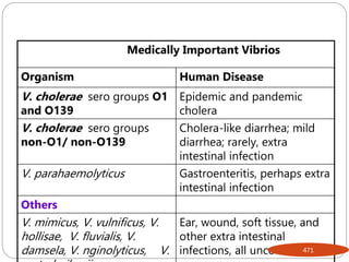 Medically Important Vibrios
Organism Human Disease
V. cholerae sero groups O1
and O139
Epidemic and pandemic
cholera
V. cholerae sero groups
non-O1/ non-O139
Cholera-like diarrhea; mild
diarrhea; rarely, extra
intestinal infection
V. parahaemolyticus Gastroenteritis, perhaps extra
intestinal infection
Others
V. mimicus, V. vulnificus, V.
hollisae, V. fluvialis, V.
damsela, V. nginolyticus, V.
Ear, wound, soft tissue, and
other extra intestinal
infections, all uncommon
471
 