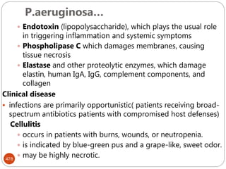 P.aeruginosa…
478
 Endotoxin (lipopolysaccharide), which plays the usual role
in triggering inflammation and systemic symptoms
 Phospholipase C which damages membranes, causing
tissue necrosis
 Elastase and other proteolytic enzymes, which damage
elastin, human IgA, IgG, complement components, and
collagen
Clinical disease
 infections are primarily opportunistic( patients receiving broad-
spectrum antibiotics patients with compromised host defenses)
Cellulitis
 occurs in patients with burns, wounds, or neutropenia.
 is indicated by blue-green pus and a grape-like, sweet odor.
 may be highly necrotic.
 