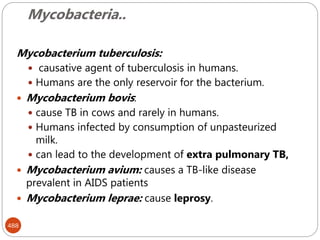 Mycobacteria..
488
Mycobacterium tuberculosis:
 causative agent of tuberculosis in humans.
 Humans are the only reservoir for the bacterium.
 Mycobacterium bovis:
 cause TB in cows and rarely in humans.
 Humans infected by consumption of unpasteurized
milk.
 can lead to the development of extra pulmonary TB,
 Mycobacterium avium: causes a TB-like disease
prevalent in AIDS patients
 Mycobacterium leprae: cause leprosy.
 