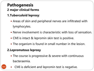 500
Pathogenesis
2 major clinical forms
1.Tuberculoid leprosy:
 Areas of skin and peripheral nerves are infiltrated with
lymphocytes.
 Nerve involvement is characteristic with loss of sensation.
 CMI is intact & lepromin skin test is positive.
 The organism is found in small number in the lesion.
2.Lepromatous leprosy
 The course is progressive & severe with continuous
bacteraemia.
 CMI is deficient and lepromin test is negative.
 