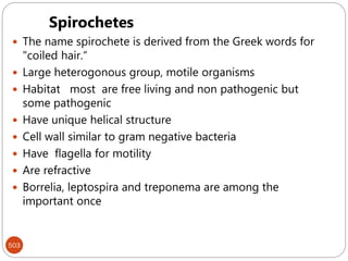 503
Spirochetes
 The name spirochete is derived from the Greek words for
"coiled hair.“
 Large heterogonous group, motile organisms
 Habitat most are free living and non pathogenic but
some pathogenic
 Have unique helical structure
 Cell wall similar to gram negative bacteria
 Have flagella for motility
 Are refractive
 Borrelia, leptospira and treponema are among the
important once
 