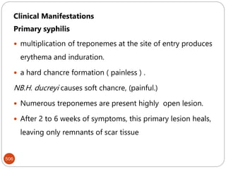 506
Clinical Manifestations
Primary syphilis
 multiplication of treponemes at the site of entry produces
erythema and induration.
 a hard chancre formation ( painless ) .
NB.H. ducreyi causes soft chancre, (painful.)
 Numerous treponemes are present highly open lesion.
 After 2 to 6 weeks of symptoms, this primary lesion heals,
leaving only remnants of scar tissue
 