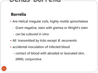 Genus Borrelia
515
Borrelia
 Are Helical irregular coils, highly motile spirochetese
• Gram negative, stain with giemsa or Wright's stain
• can be cultured in vitro
 All transmitted by ticks except B. recurrentis
 accidental inoculation of infected blood
 contact of blood with abraded or lacerated skin,
(MM), conjunctiva
 