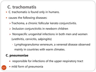 C. trachomatis
527
 C. trachomatis is found only in humans.
 causes the following diseases:
 Trachoma, a chronic follicular kerato conjunctivitis.
 Inclusion conjunctivitis in newborn children
 Nonspecific urogenital infections in both men and women
(urethritis, cervicitis, salpingitis)
 Lymphogranuloma venereum, a venereal disease observed
mainly in countries with warm climates.
C. pneumoniae
 responsible for infections of the upper respiratory tract
 mild form of pneumonia
 
