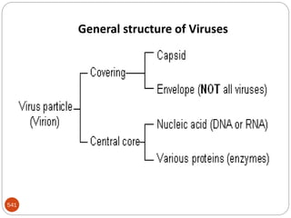 541
General structure of Viruses
 