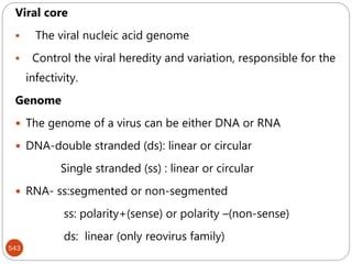 543
Viral core
 The viral nucleic acid genome
 Control the viral heredity and variation, responsible for the
infectivity.
Genome
 The genome of a virus can be either DNA or RNA
 DNA-double stranded (ds): linear or circular
Single stranded (ss) : linear or circular
 RNA- ss:segmented or non-segmented
ss: polarity+(sense) or polarity –(non-sense)
ds: linear (only reovirus family)
 