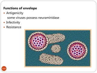 549
Functions of envelope
 Antigenicity
some viruses possess neuraminidase
 Infectivity
 Resistance
 