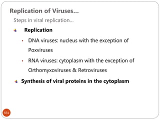 Replication of Viruses…
551
Steps in viral replication…
Replication
• DNA viruses: nucleus with the exception of
Poxviruses
• RNA viruses: cytoplasm with the exception of
Orthomyxoviruses & Retroviruses
Synthesis of viral proteins in the cytoplasm
 