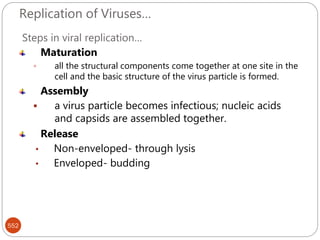 Replication of Viruses…
552
Steps in viral replication…
Maturation
 all the structural components come together at one site in the
cell and the basic structure of the virus particle is formed.
Assembly
 a virus particle becomes infectious; nucleic acids
and capsids are assembled together.
Release
• Non-enveloped- through lysis
• Enveloped- budding
 