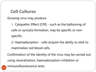 Cell Cultures
559
Growing virus may produce
1. Cytopathic Effect (CPE) - such as the ballooning of
cells or syncytia formation, may be specific or non-
specific.
2. Haemadsorption - cells acquire the ability to stick to
mammalian red blood cells.
Confirmation of the identity of the virus may be carried out
using neutralization, haemadsorption-inhibition or
immunofluorescence tests.
 