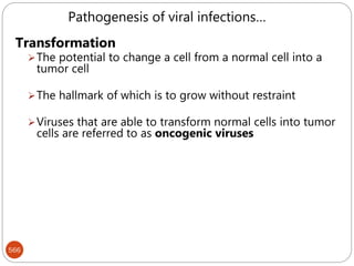 566
Transformation
The potential to change a cell from a normal cell into a
tumor cell
The hallmark of which is to grow without restraint
Viruses that are able to transform normal cells into tumor
cells are referred to as oncogenic viruses
Pathogenesis of viral infections…
 