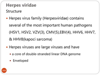 Herpes viridae
568
Structure
 Herpes virus family (Herpesviridae) contains
several of the most important human pathogens
(HSV1, HSV2, VZV(3), CMV(5),EBV(4), HHV6, HHV7,
& HHV8(kapoci sarcoma)
 Herpes viruses are large viruses and have
 a core of double-stranded linear DNA genome
 Enveloped
 