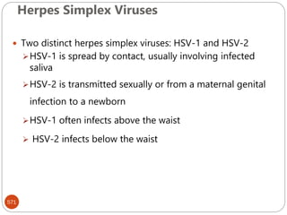 Herpes Simplex Viruses
571
 Two distinct herpes simplex viruses: HSV-1 and HSV-2
HSV-1 is spread by contact, usually involving infected
saliva
HSV-2 is transmitted sexually or from a maternal genital
infection to a newborn
HSV-1 often infects above the waist
 HSV-2 infects below the waist
 