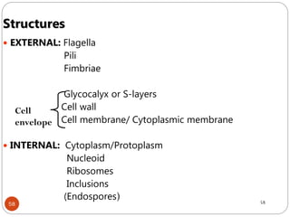 58
Structures
 EXTERNAL: Flagella
Pili
Fimbriae
Glycocalyx or S-layers
Cell wall
Cell membrane/ Cytoplasmic membrane
 INTERNAL: Cytoplasm/Protoplasm
Nucleoid
Ribosomes
Inclusions
(Endospores) 58
Cell
envelope
 