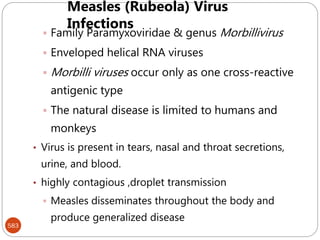 583
 Family Paramyxoviridae & genus Morbillivirus
 Enveloped helical RNA viruses
 Morbilli viruses occur only as one cross-reactive
antigenic type
 The natural disease is limited to humans and
monkeys
• Virus is present in tears, nasal and throat secretions,
urine, and blood.
• highly contagious ,droplet transmission
 Measles disseminates throughout the body and
produce generalized disease
Measles (Rubeola) Virus
Infections
 
