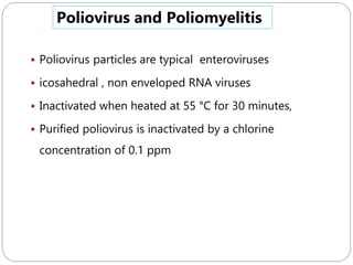 590
 Poliovirus particles are typical enteroviruses
 icosahedral , non enveloped RNA viruses
 Inactivated when heated at 55 °C for 30 minutes,
 Purified poliovirus is inactivated by a chlorine
concentration of 0.1 ppm
Poliovirus and Poliomyelitis
 