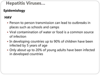 Hepatitis Viruses…
600
Epidemiology
HAV
 Person to person transmission can lead to outbreaks in
places such as schools and camps
 Viral contamination of water or food is a common source
of infection
 In developing countries up to 90% of children have been
infected by 5 years of age
 Only about up to 20% of young adults have been infected
in developed countries
 
