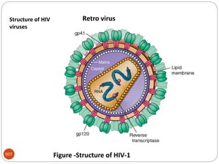 607 Figure -Structure of HIV-1
Retro virus
Structure of HIV
viruses
 