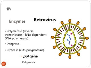 HIV
609
• Polymerase (reverse
transcriptase – RNA dependent
DNA polymerase)
• Integrase
• Protease (cuts polyproteins)
Enzymes
• pol gene
Retrovirus
Polyprotein
 